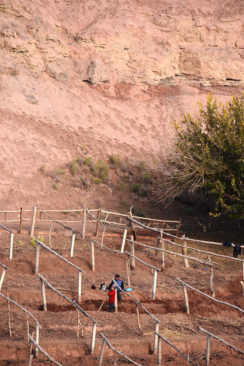 translate to chinese. 	
At closure, the open pits will be contoured to support long-term stability and vegetation growth.
