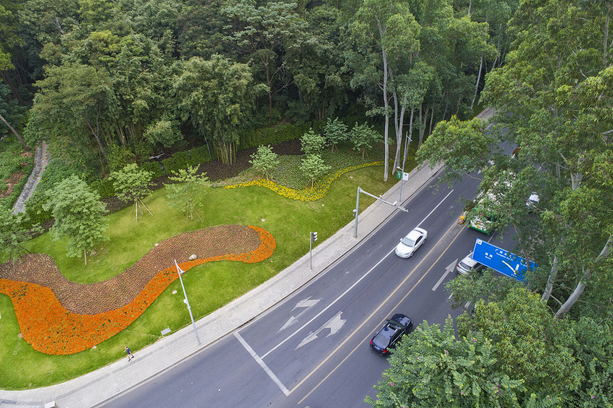 道路与种植区域做隔断分区是什么意思？用250字帮我描述