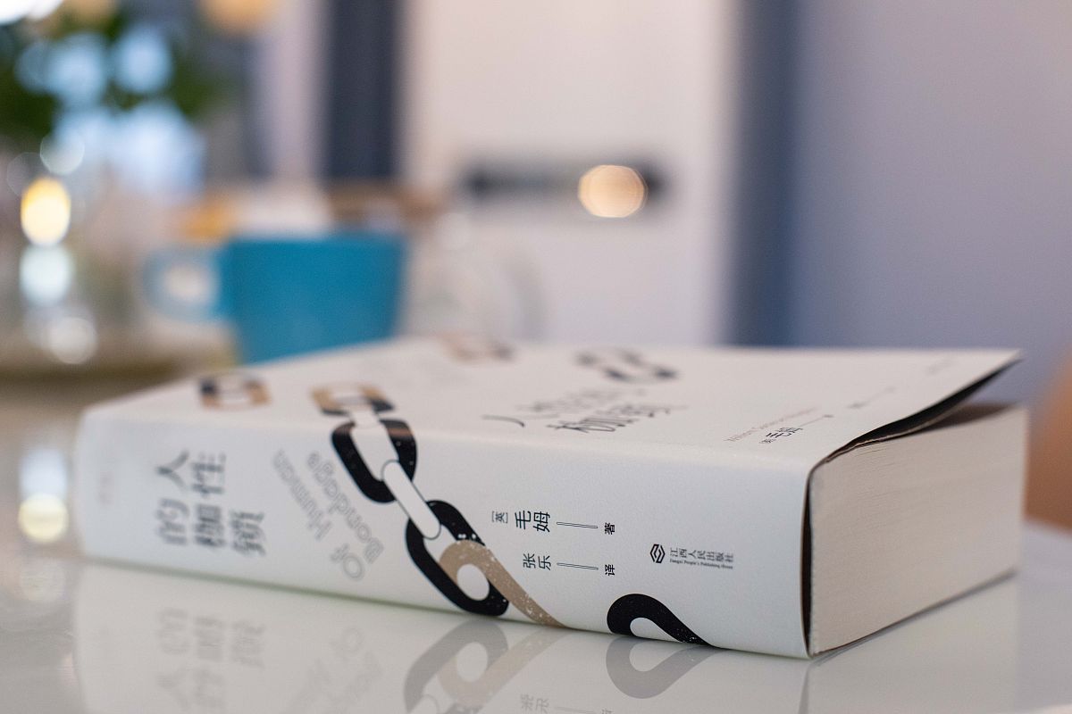 《傲慢与偏见》语言讽刺艺术的魅力：人物塑造、社会批判与故事增色