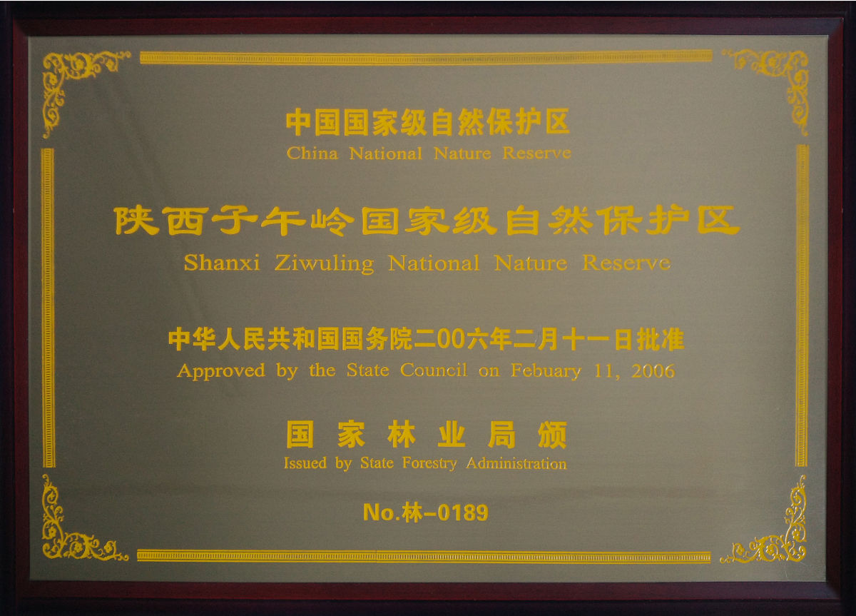 技术合作的模式