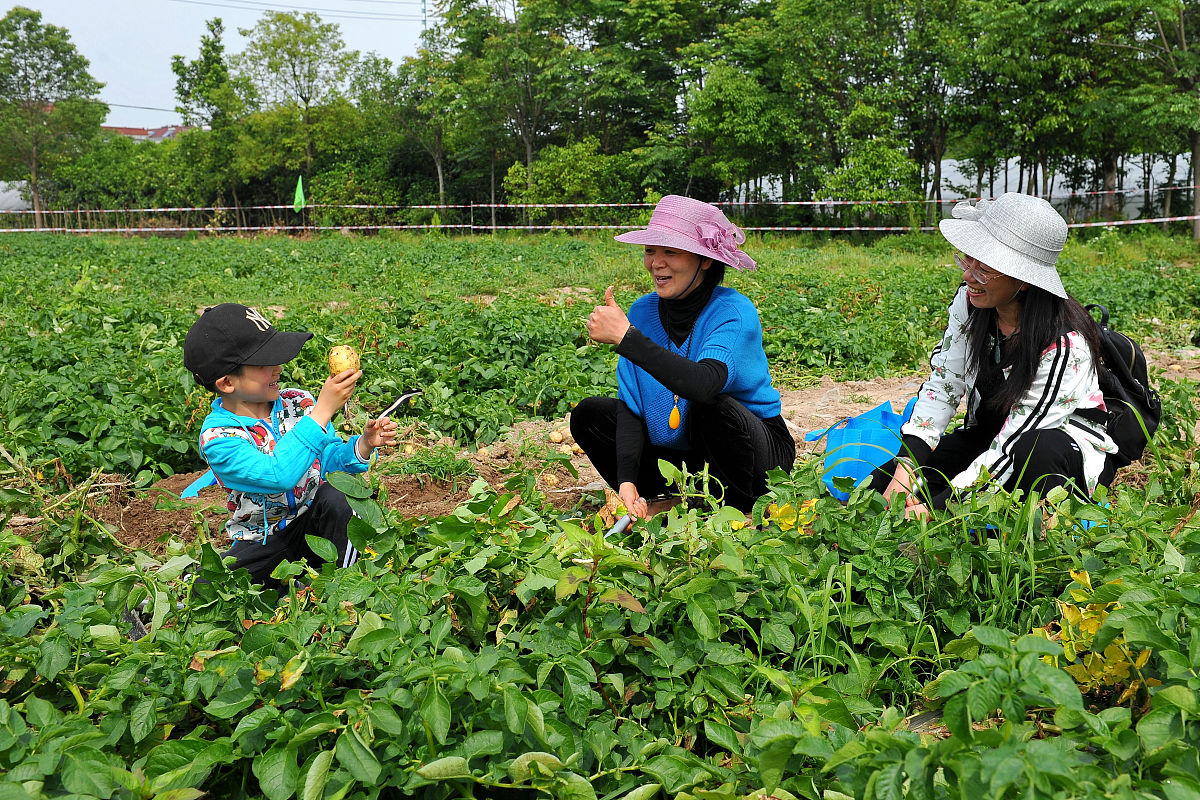 稻盛和夫《劳动的喜悦》读后感：发现人生最大的喜悦