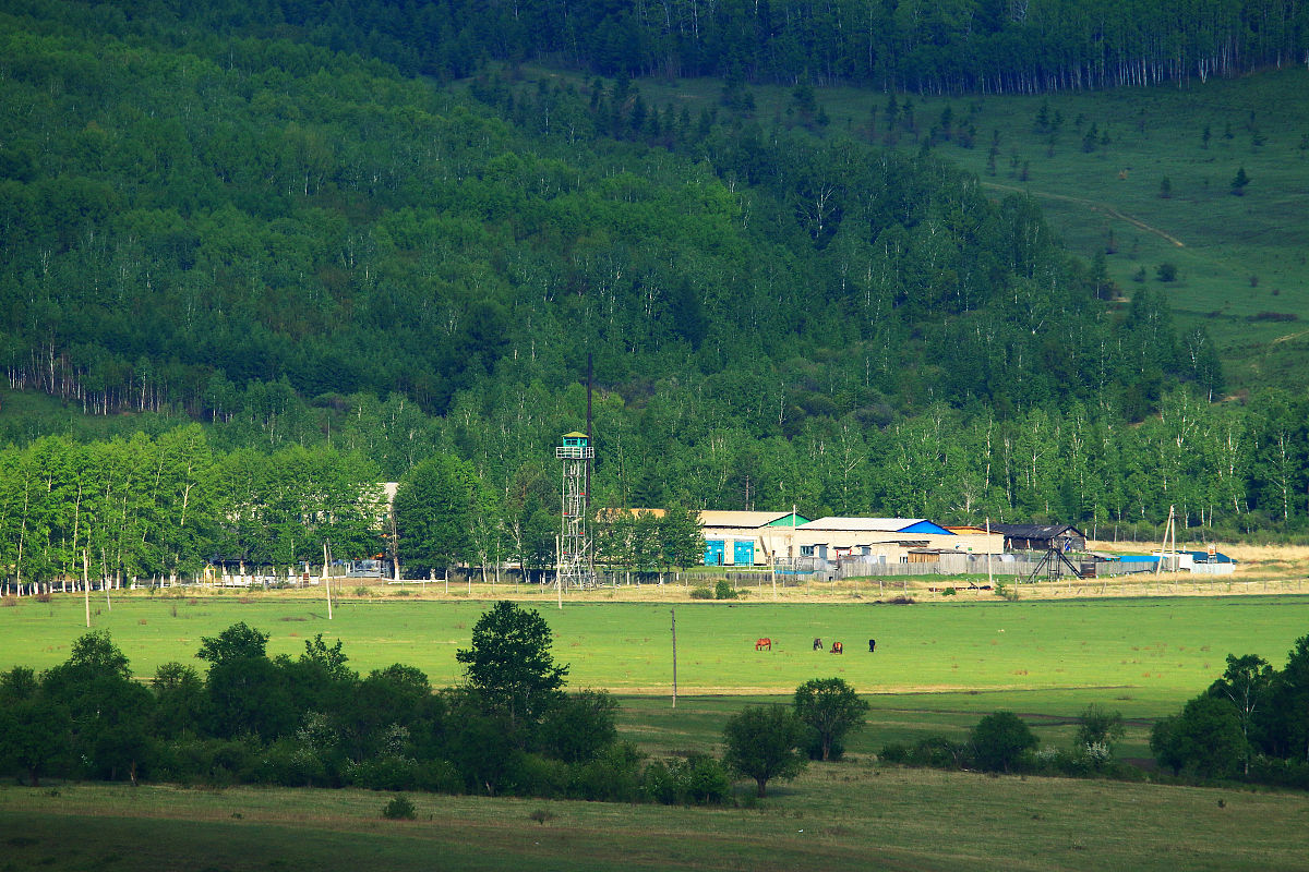 编写一条夏天呼伦贝尔6天旅游行程