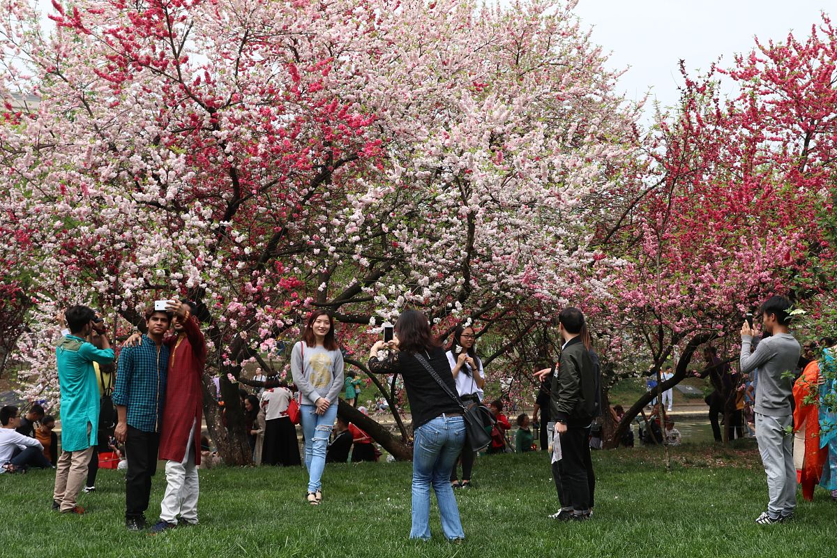 重庆三峡联合职业大学：计算机专业前景分析
