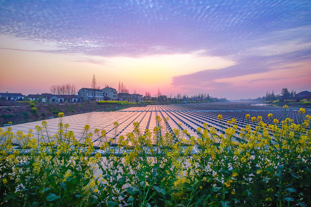 关于四川自贡市机电施工总承包二级办理转让哪个公司有？字数