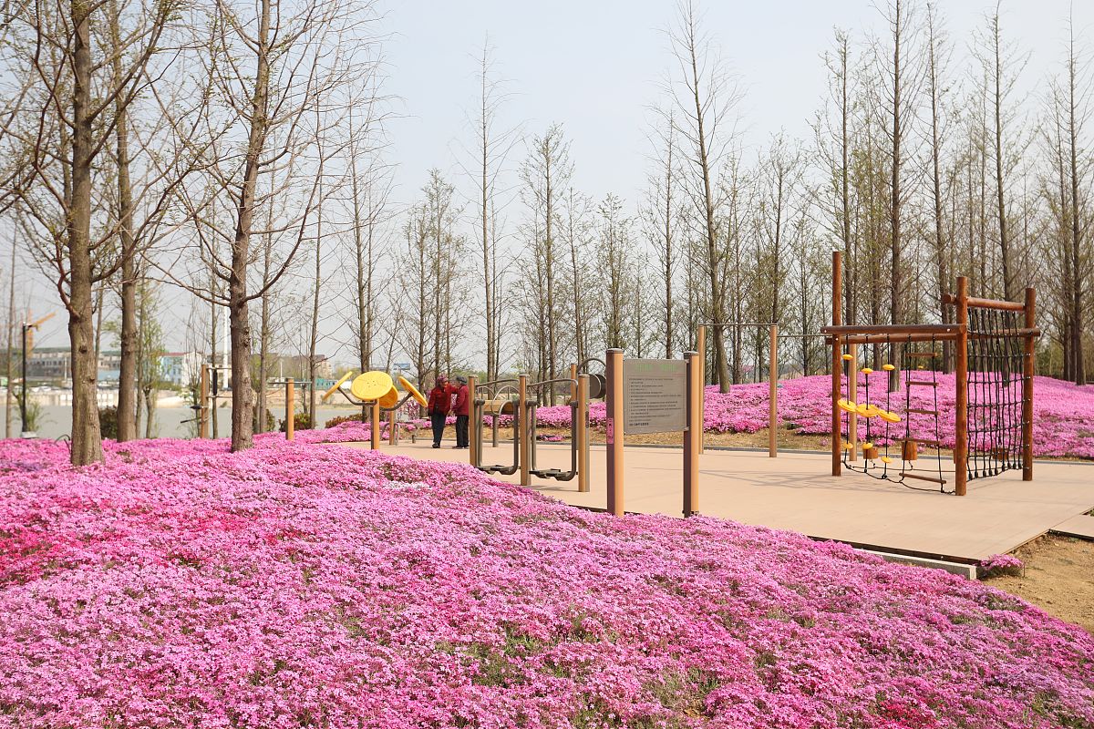 用户关闭了花呗额度解绑了银行卡余额也没钱花芝租商户还能通过支付宝自动扣到用户的租金吗？帮我用200字详细描述