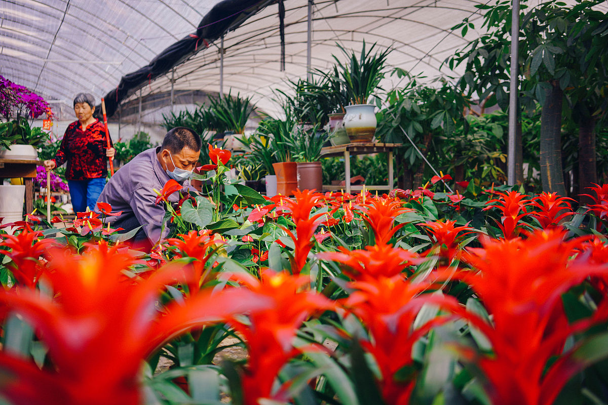 粮油生意怎么做？新手入门指南