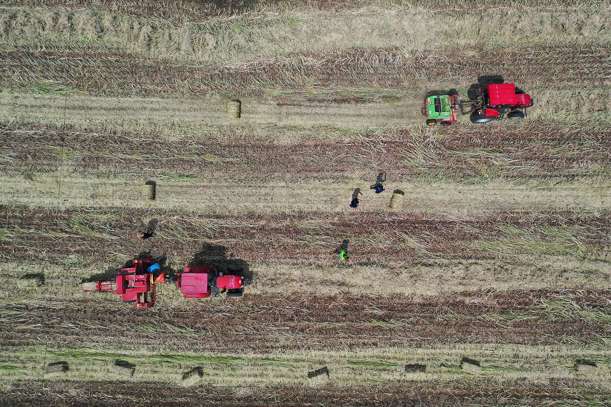 乡村振兴背景下师范生乡村从教意愿调查与研究：目标、资源、流程、风险及评估