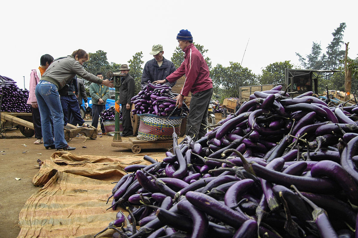 广东东莞市到湛江徐闻县有多少公里