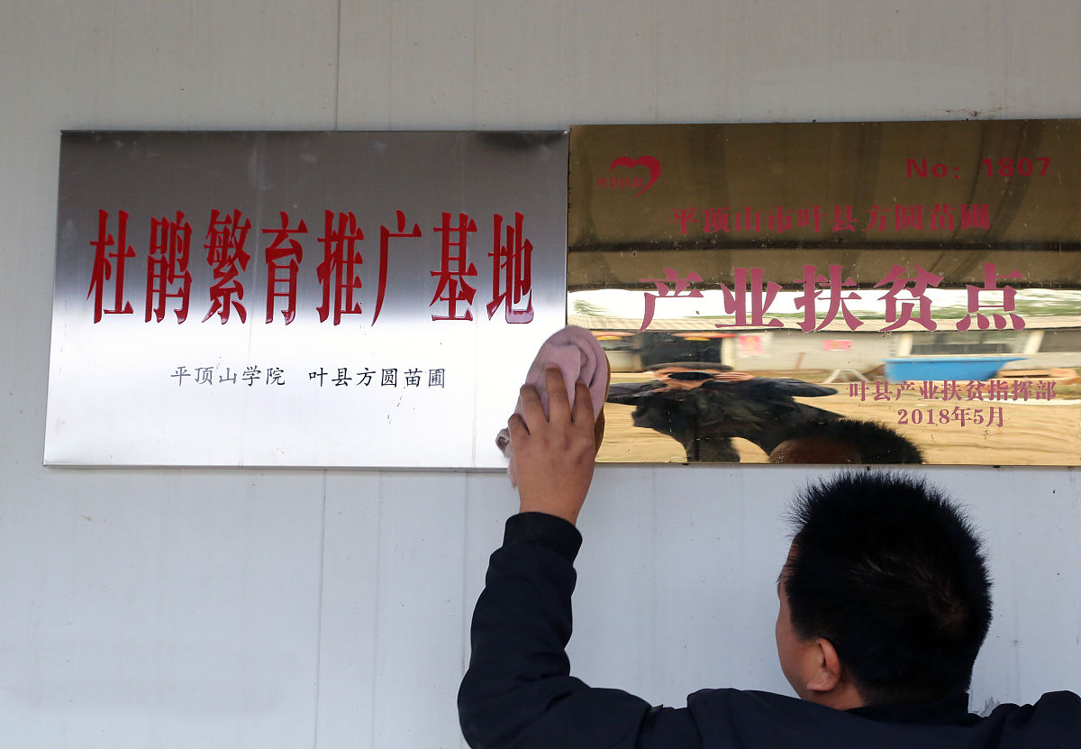 叶县中等专业学校2021年招生专业都有哪些