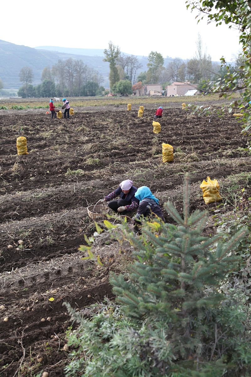 定西洮河高级职业中学2023年宿舍条件