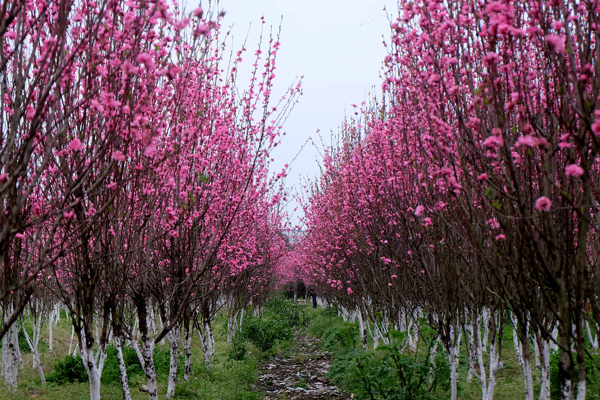 湖南工程职业技术学院工程造价专业怎么样