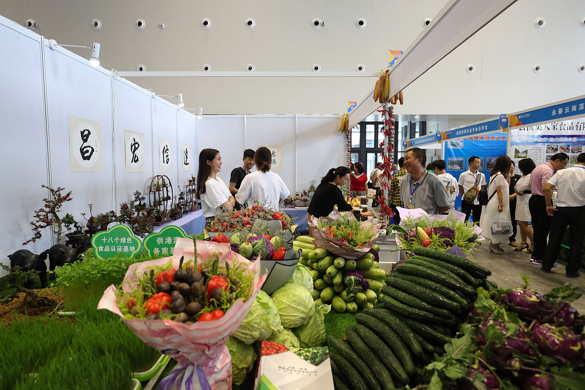 潍坊菜博会怎么样适合全家玩吗