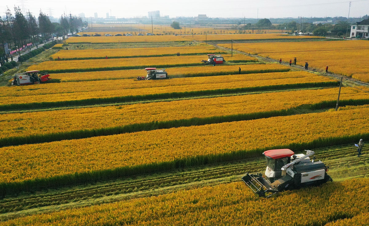 黑龙江大学的农业水利工程专业就业方向如何