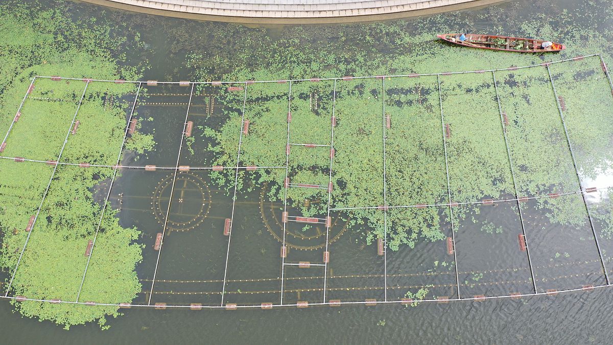 reviseThe multiple granularities edge features can be obtained by subtracting the value of average pooling with different sizes from its original feature maps In details this operation can be defined