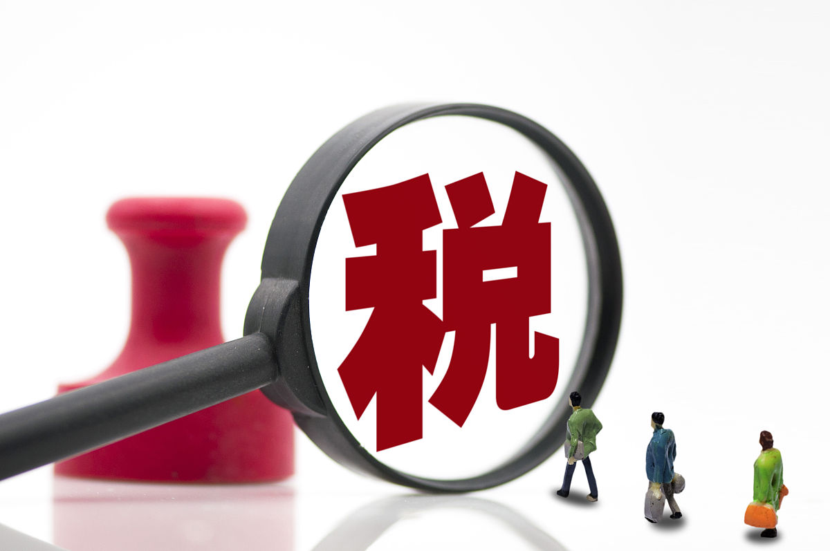 税务局帮我用210字详细描述