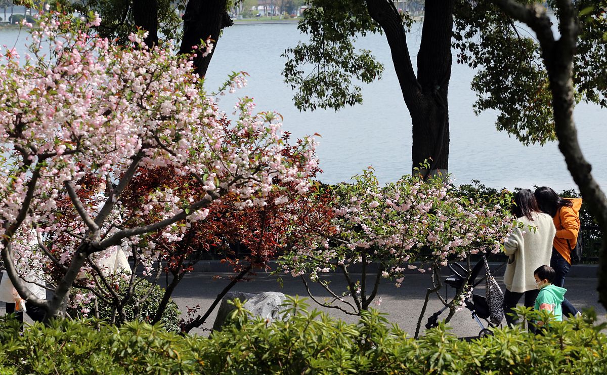 襄阳春日美景诗：百花争艳，游人乐陶陶