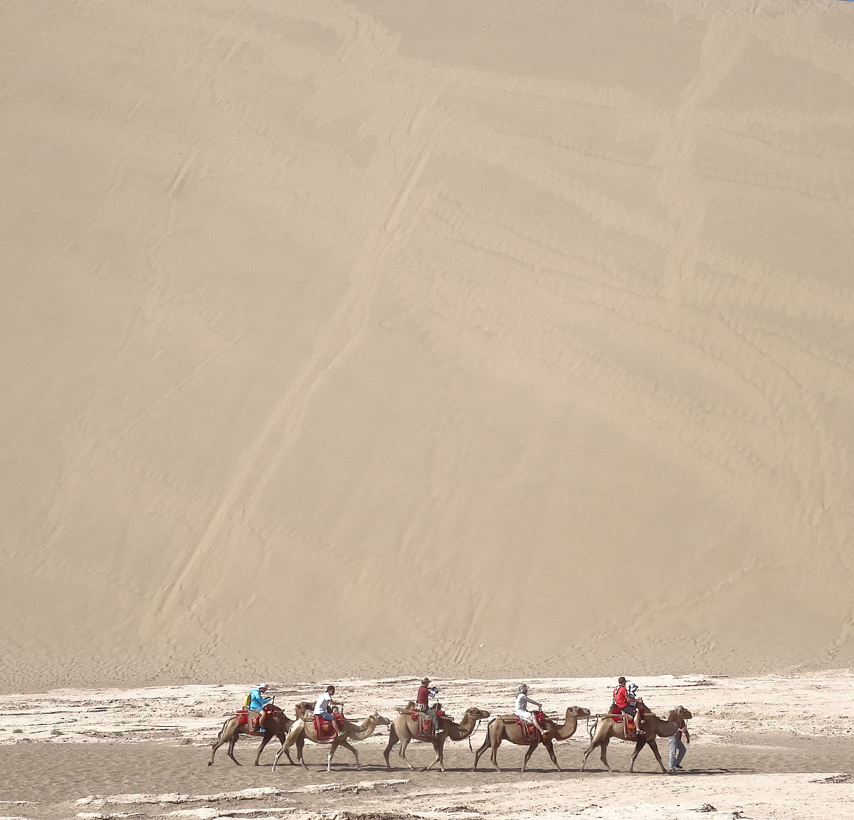 一千字《河西走廊》观后感