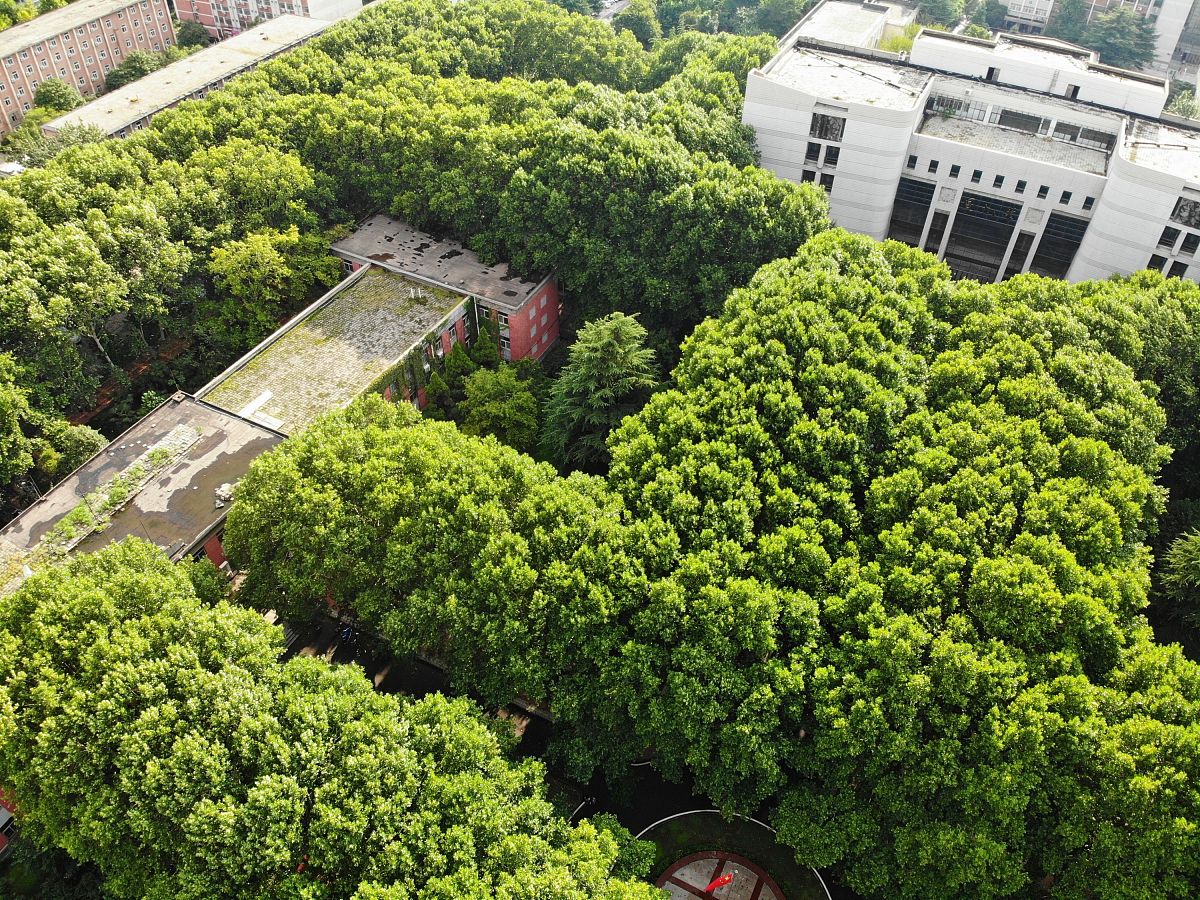 抚顺市卫生学校2022年环境怎么样？