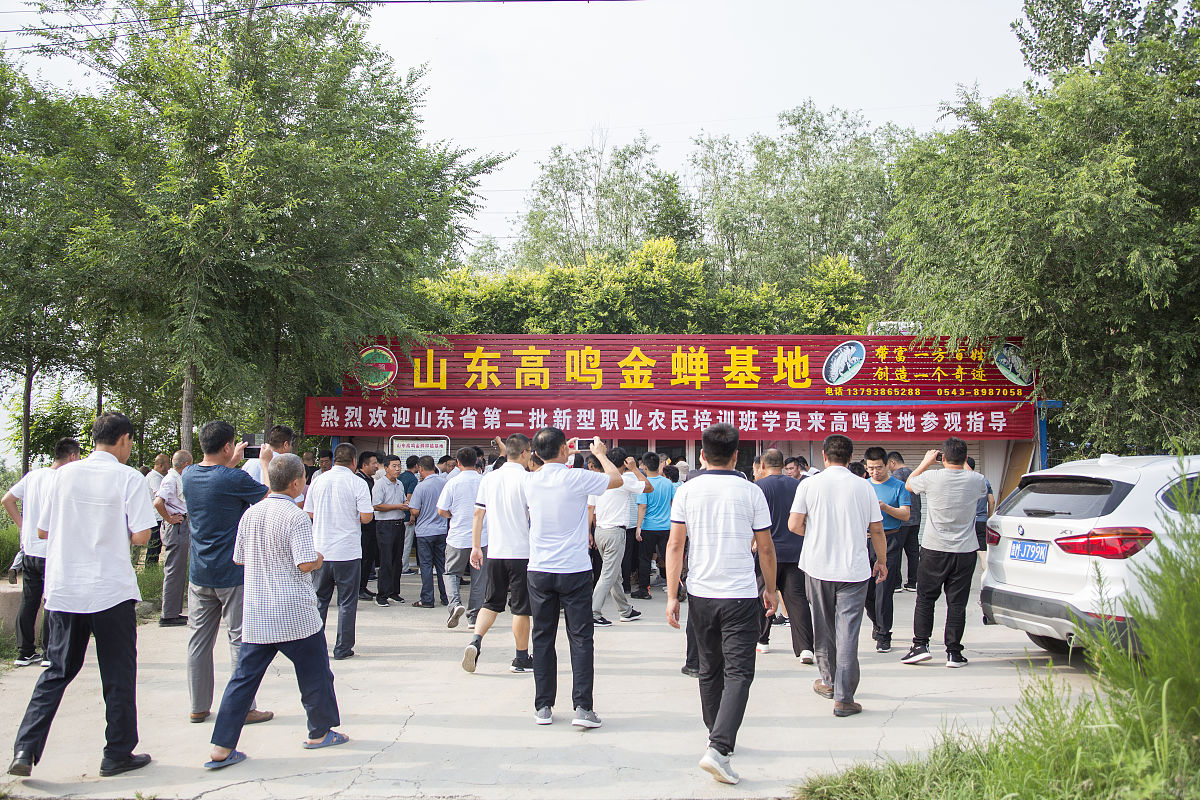 山东畜牧兽医职业学院养禽与禽病防治专业怎么样