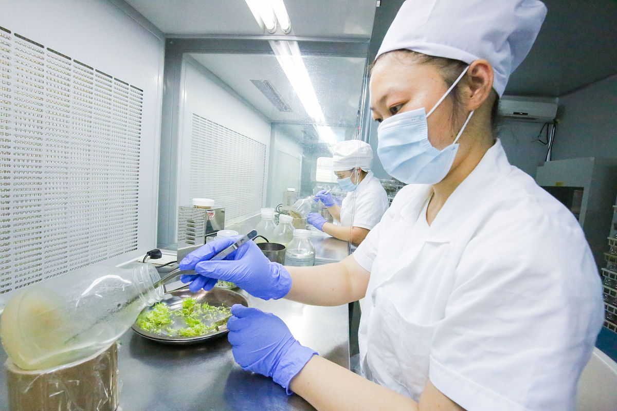 食品研发工程师职业规划：学生目标与路径