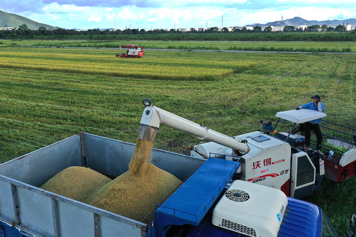 绿色储粮项目方案不少于