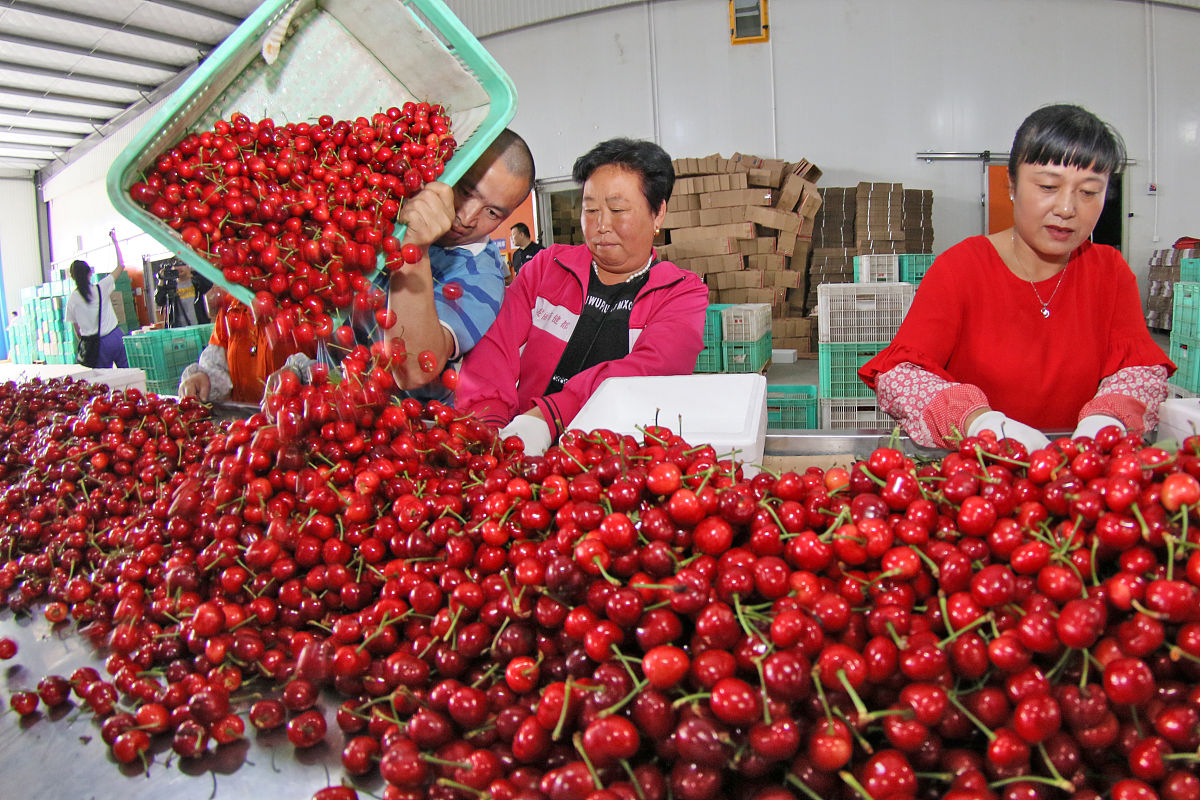 怎么买到便宜的车厘子