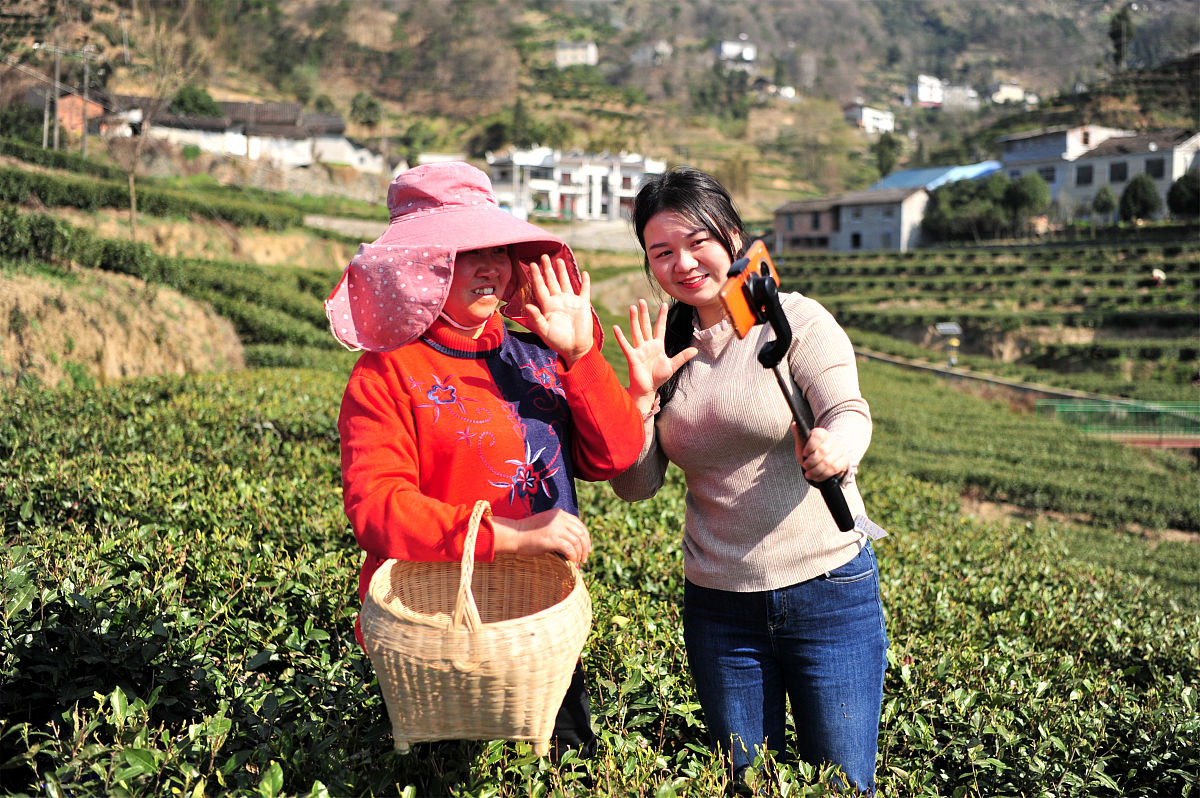 石阡县中等职业学校热门专业盘点：茶叶生产与加工专业详解