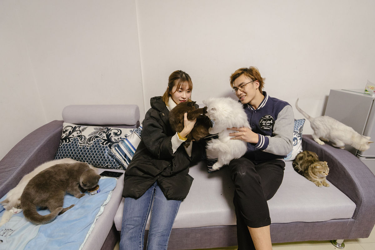 南充职业技术学院单招怎么样用