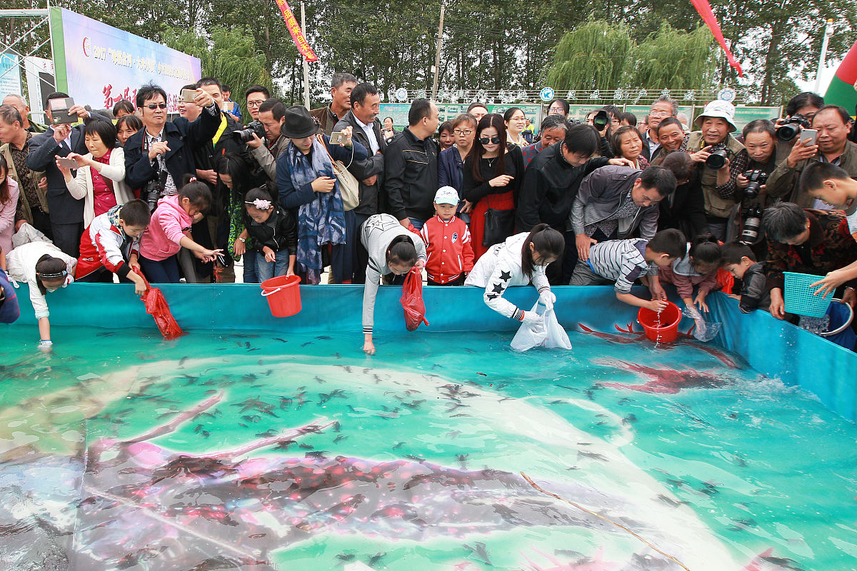 小虾：一个可爱乐于助人的孩子的故事