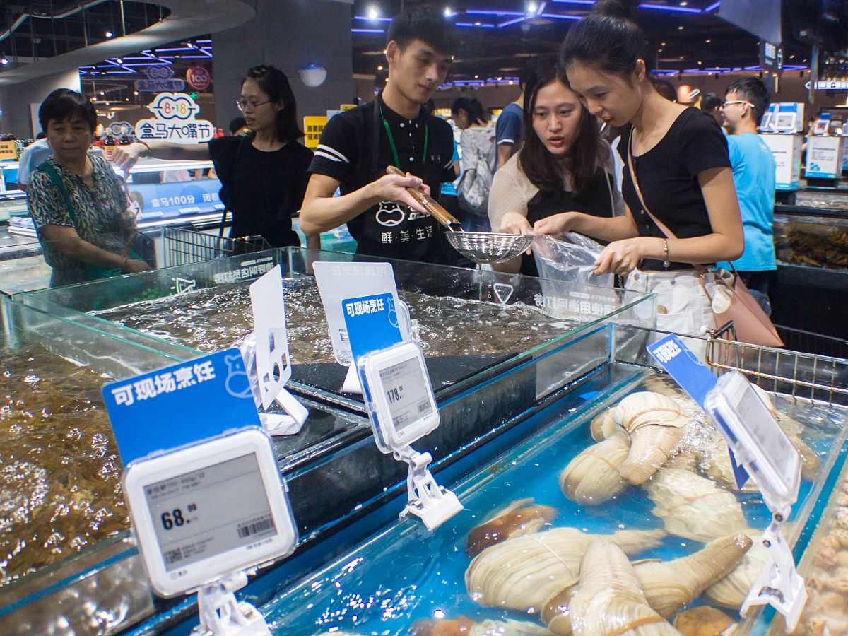 写一篇关于盒马生鲜的项目摘要