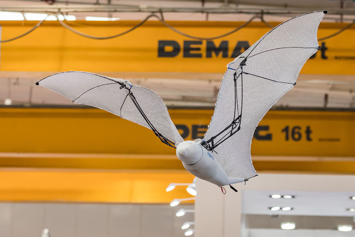 飞行器设计灵感：从自然界汲取智慧