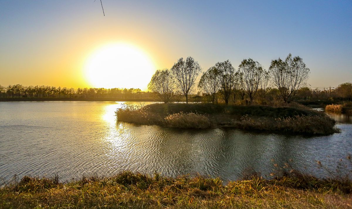 卫风简体字 - 《卫风》的正确写法