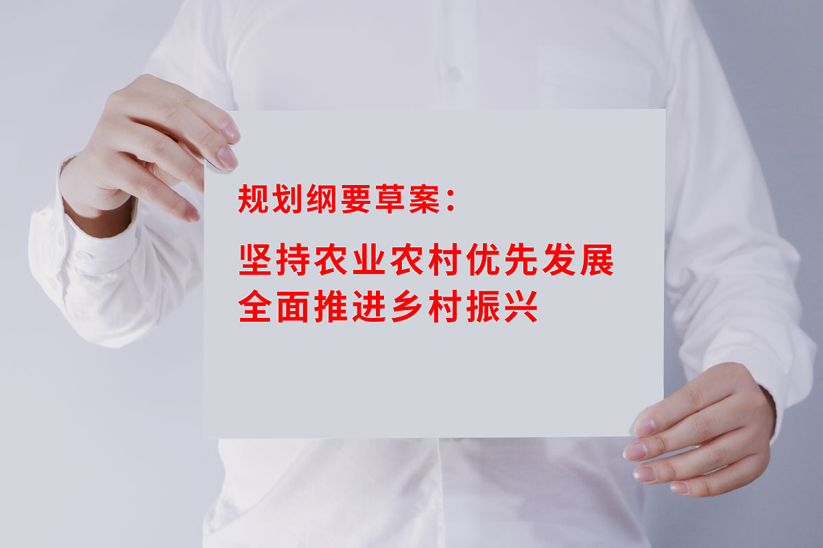 国内关于户外教育促进经济发展的文献概况主要内容
