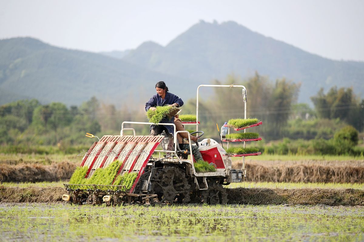 泸西县农业机械化技术学校教学质量怎么样？