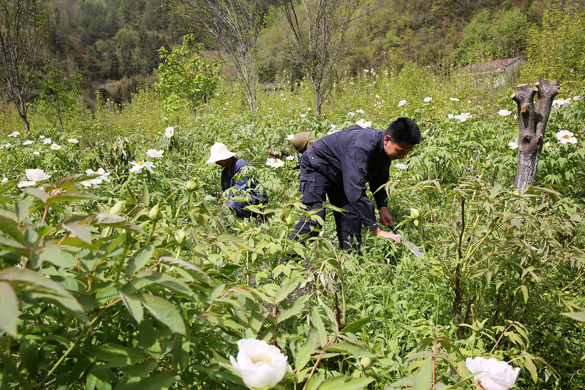 成都护理学校护士工资待遇分析：从经验、医院、地域看薪资水平