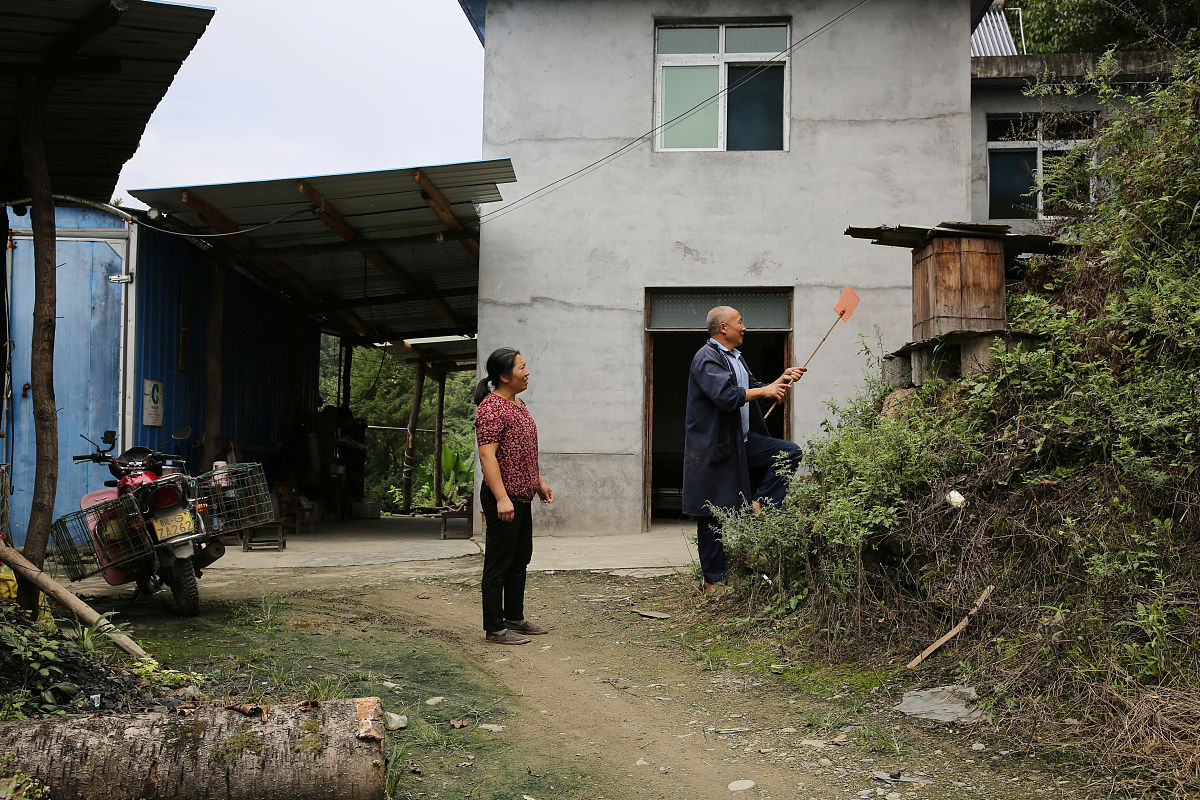 湖北省团风县团风镇花园白鹤林村四组河西湾村庄现在怎么开始改造村庄面容卫生环境整顿建公园修路呢这里么回事呢帮我用200字详细描述