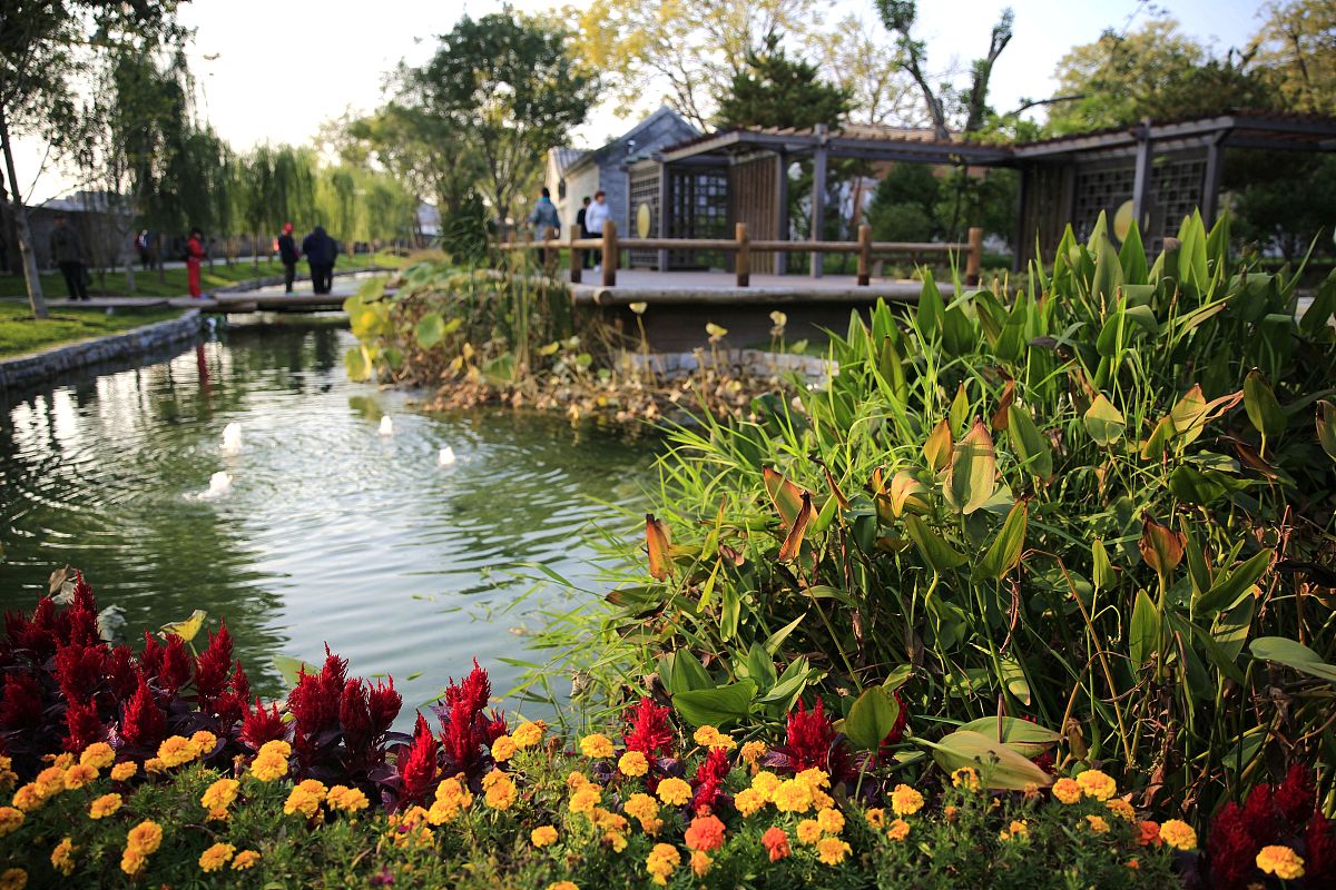 美丽的校园 写一篇300字小学作文