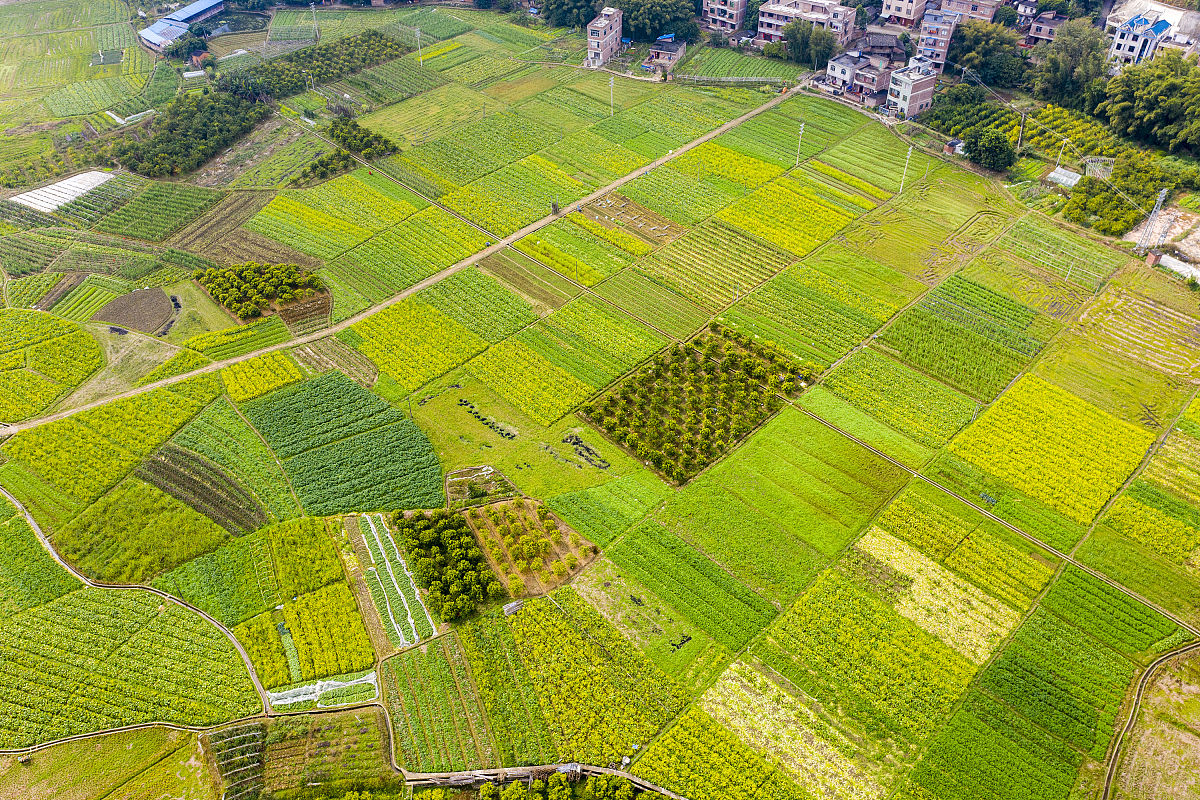 广西2022年上中专学校学费预测及发展趋势分析