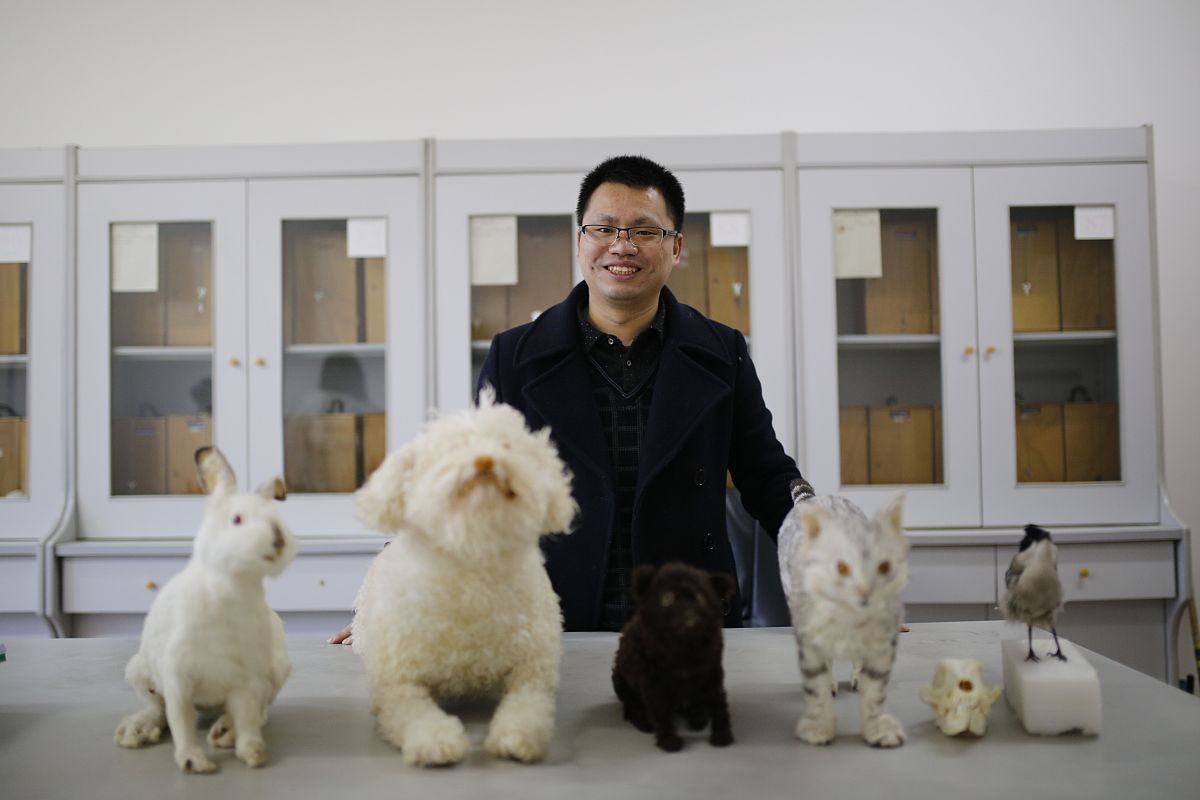 重庆医科学校2020年有哪些专业