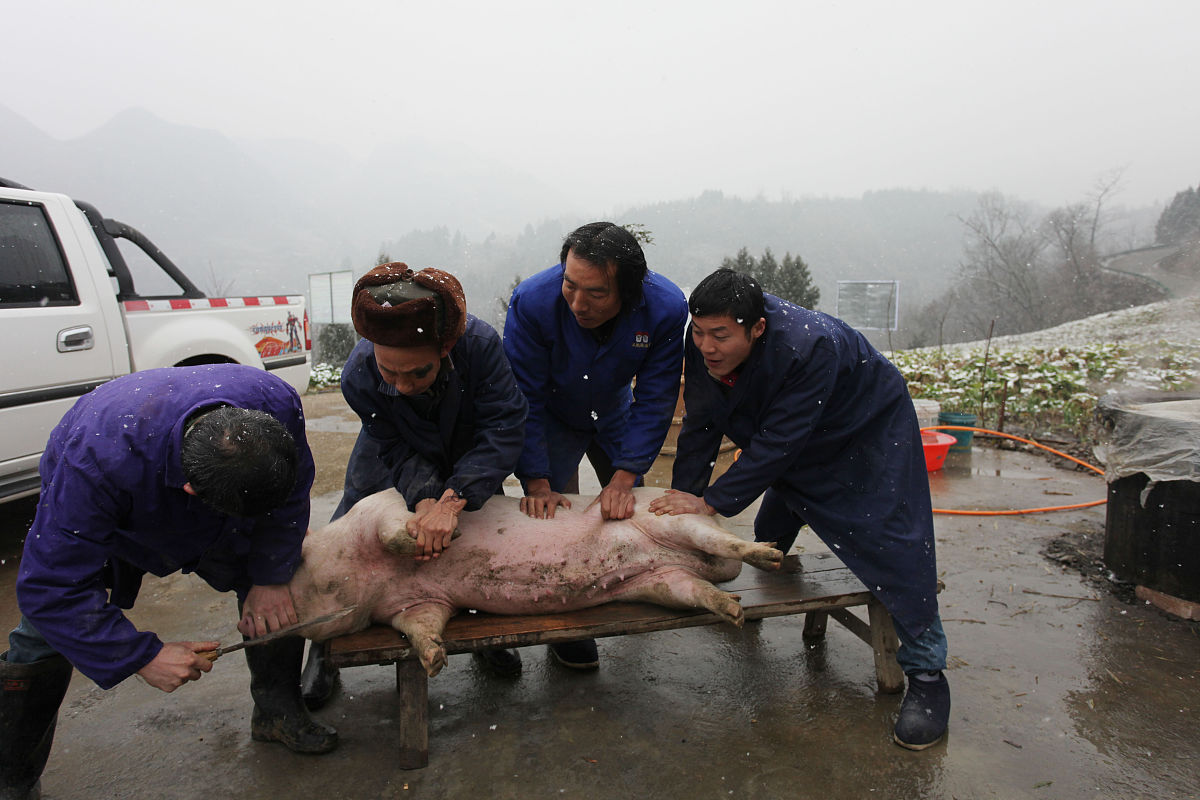 古蔺县大村职业中学校2020年招生简章