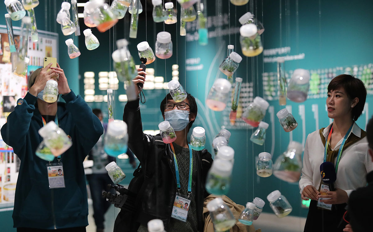 自然保护区：珍贵遗产，承载着生命与文化的和谐