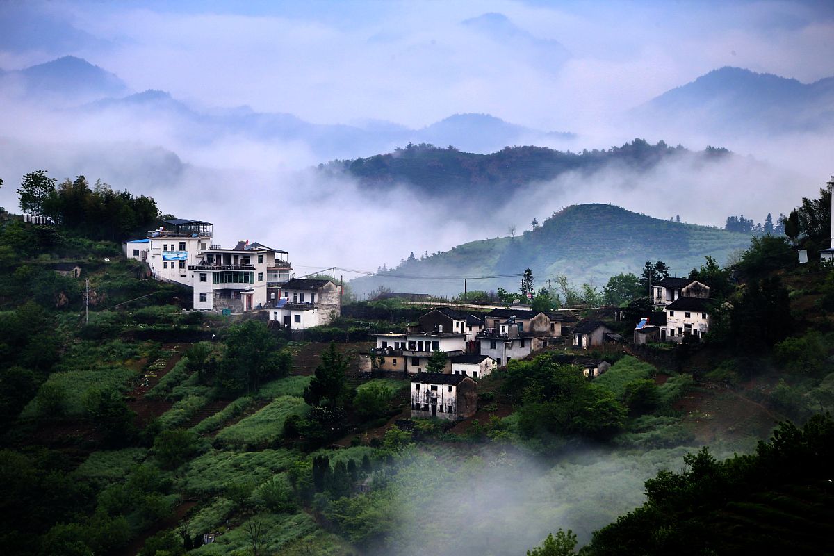 黄山休宁程志伟