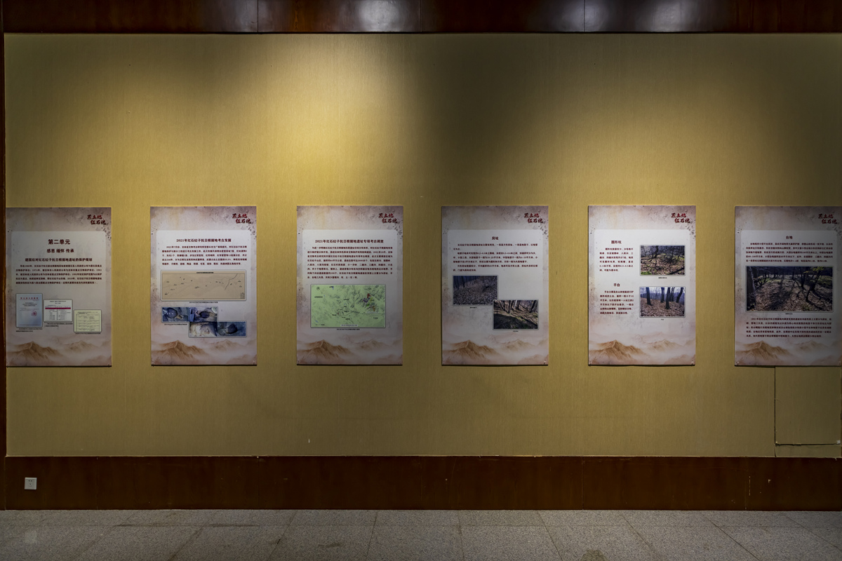 探秘吉林省博物馆：一场历史与文化的饕餮盛宴