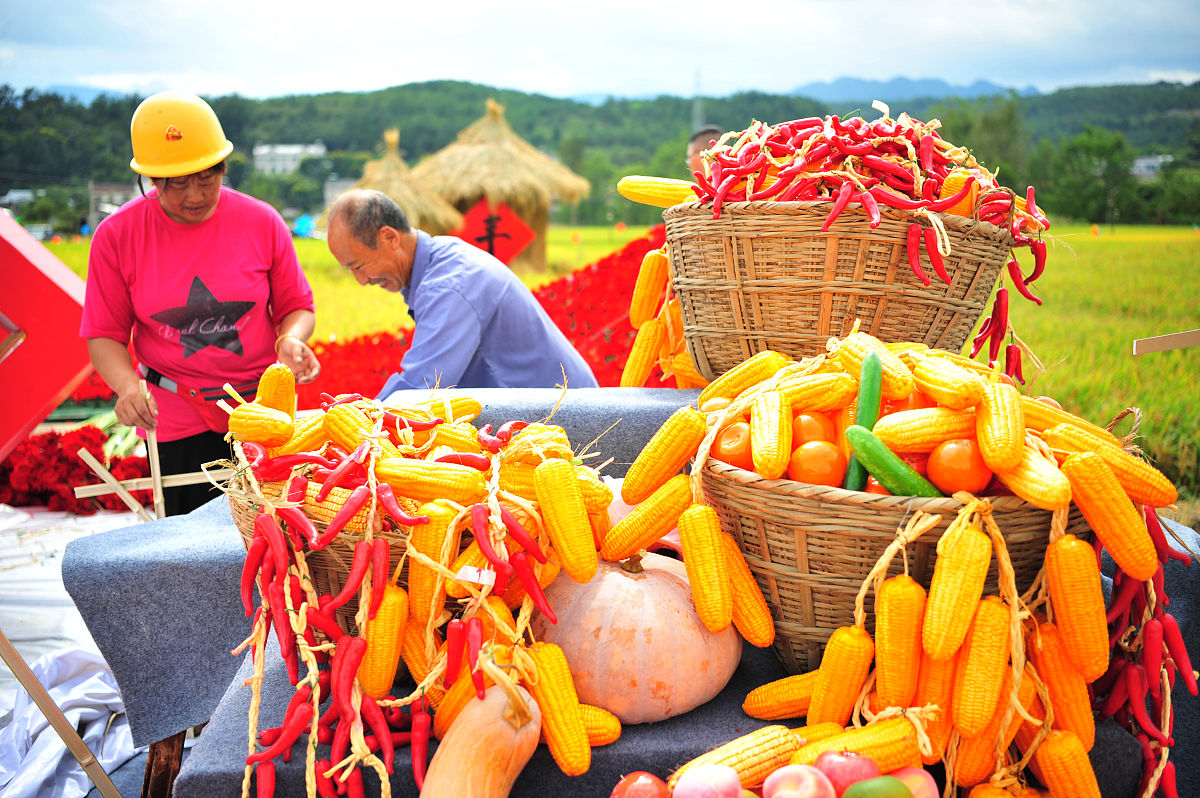五谷丰登：寓意丰收与繁荣的成语