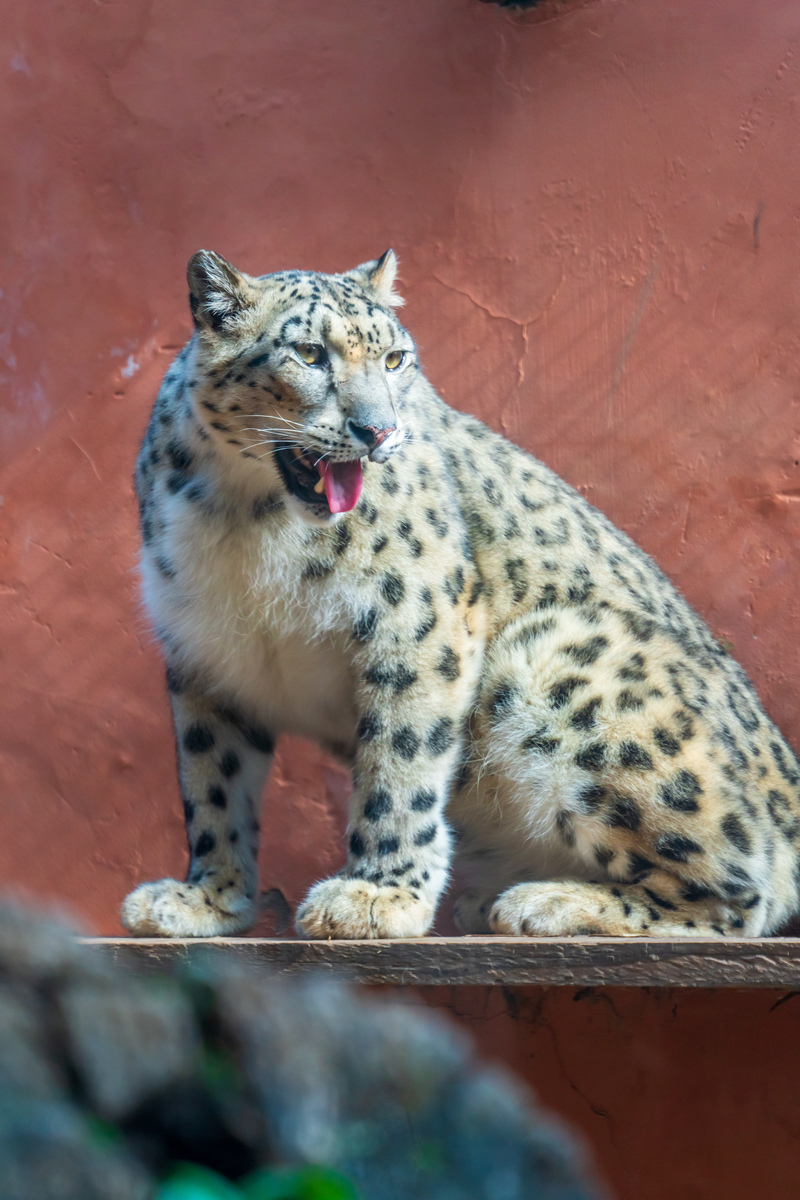 کرم‌های خاکی در زمین: نقش حیاتی در حاصلخیزی خاک