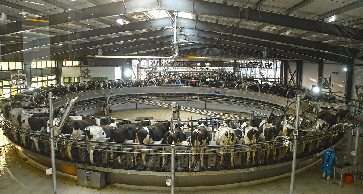 河南工业职业技术学院往年分差