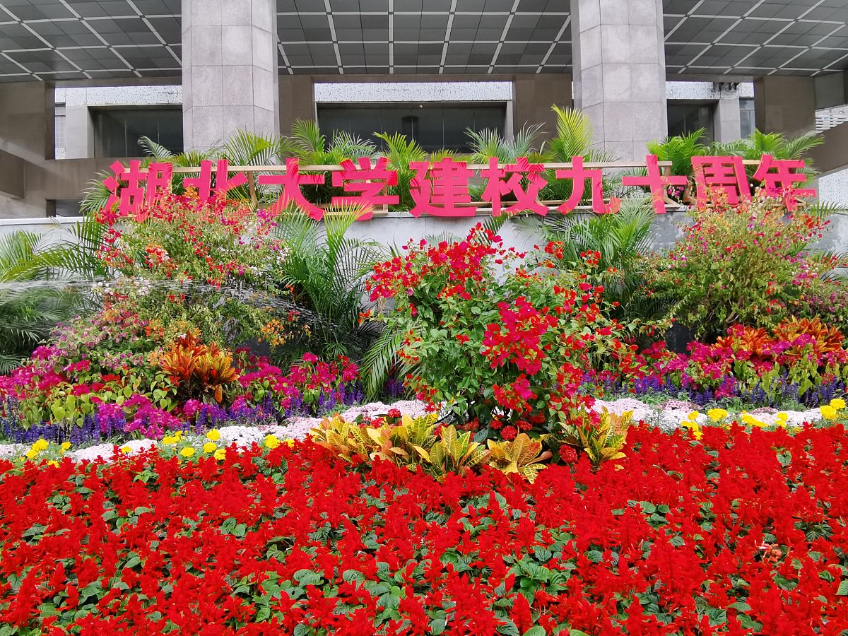 湖北3+2市场营销专业院校推荐：名校云集，助你开启营销之路