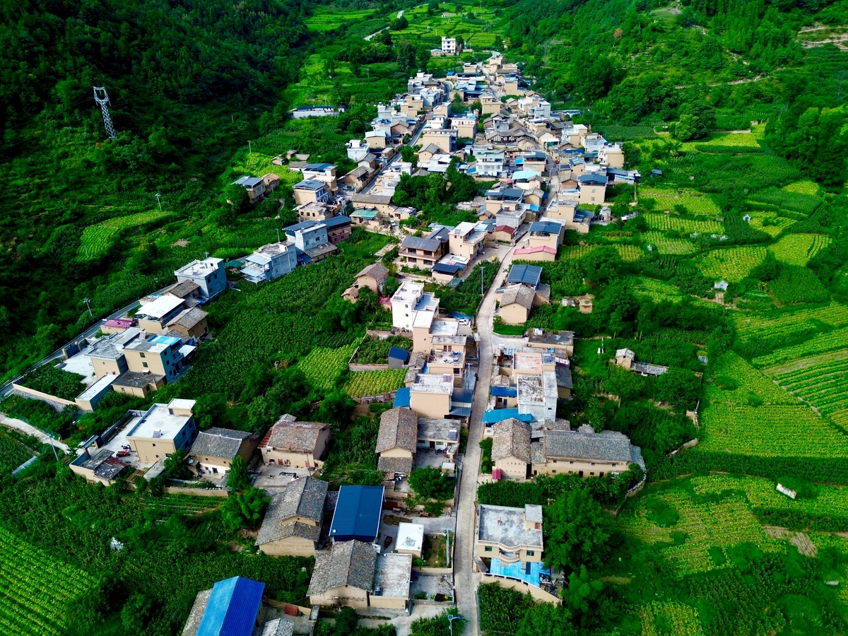 1332854857：帮我写乡村振兴的选题背景		乡村振兴是当前中国经济社会发展的重要战略旨在促进农村经济的发展和农民生活水平的提高。近年来中国农村面临着许多问题如农业生产方式的单一化、农民收入低、人口老龄化等这些问题制约了农村的发展和农民的生活水平。因此乡村振兴成为了解决这些问题的重要途径。在乡村振兴的实践中政府、企业、社会组织等各方面都发挥了重要作用。政府出台了一系列扶持政策如农村土地制度改革