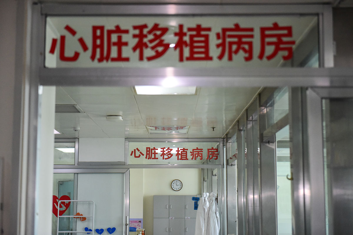 犬不夜吠是什么意思_词语犬不夜吠的意思