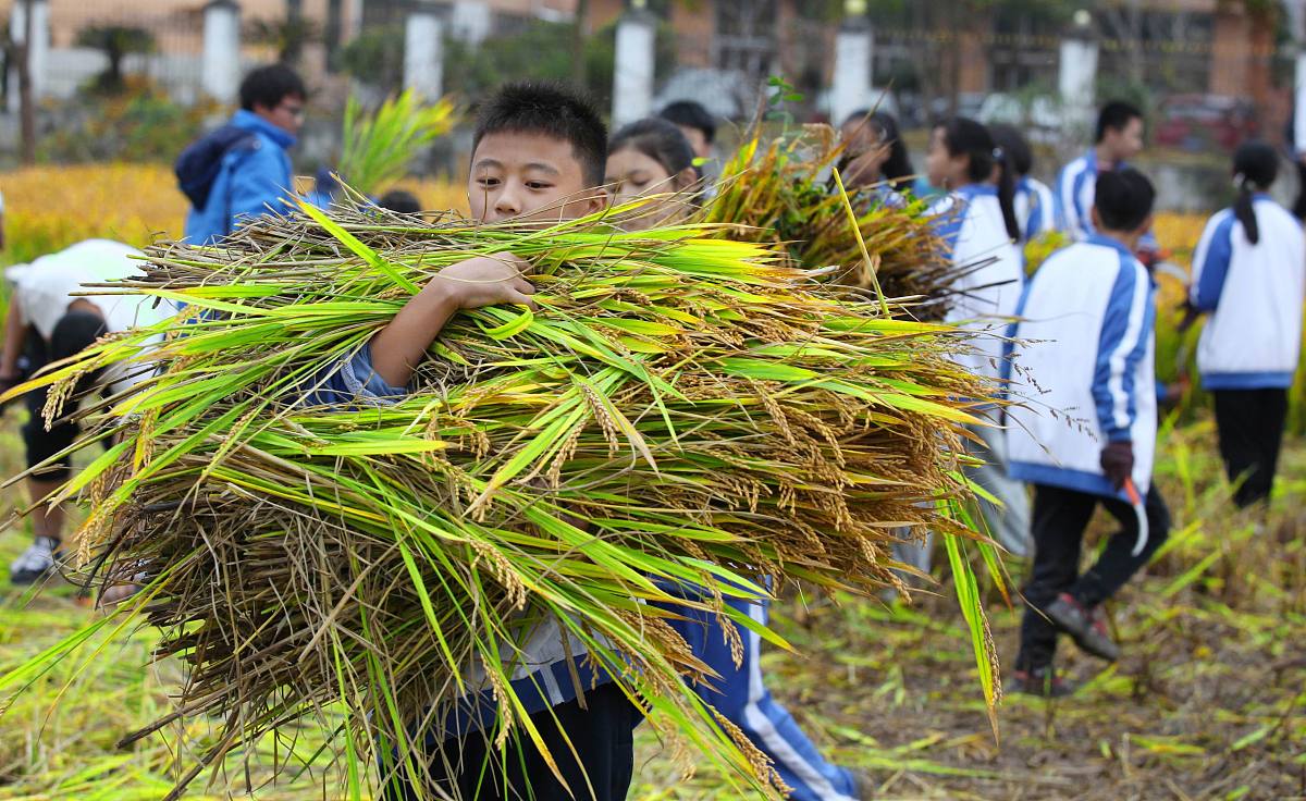 去贵阳铁路学校就读会保证就业吗